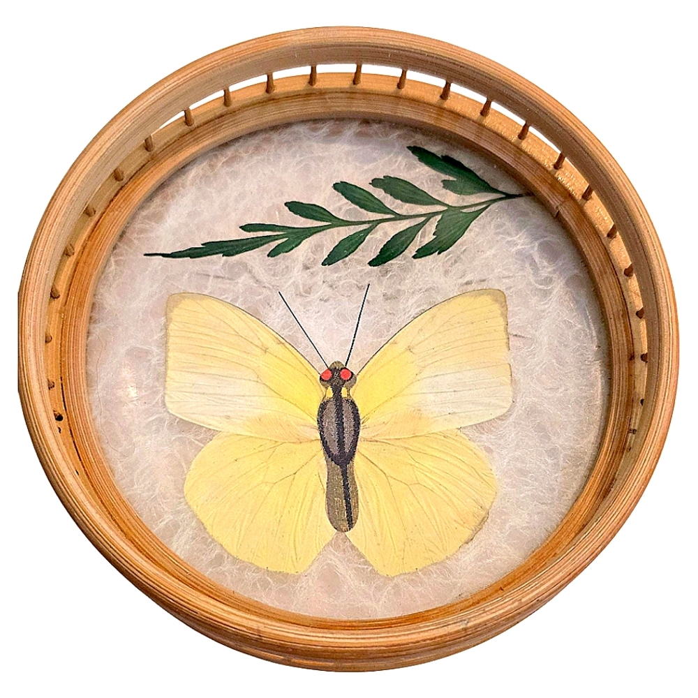 Pressed Butterfly Bamboo Jewlery Holder
